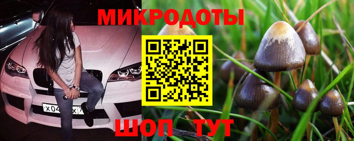 Клинцы  Псилоцибиновые грибы мухоморы  Вход с VPN 